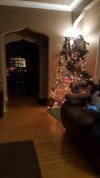 20181202_192526-2241x3984.jpg