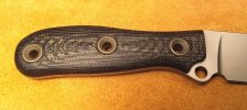 Busse4.jpg