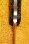 Busse6.jpg