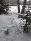 D07D0759-4105-43B1-BA39-D3518BD92008.jpeg