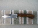 cocobolo3.jpg