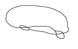 loop.jpg