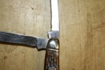 schrade 825 04.jpg