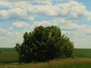 07-26-2009 032.jpg