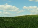 07-26-2009 031.jpg