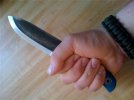 inhand1.jpg