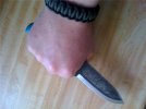 inhand3.jpg