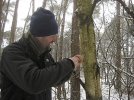 IMG_1078.jpg