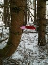 IMG_0340.jpg