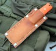soloist4-in-sheath.jpg