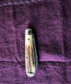 IMG_2289.jpg