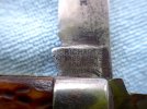 RIMG1547.JPG