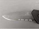 gerber emerson 2.JPG