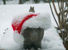 DSCF3669 CROCKETT RAT IN HAT SNOW 800 MED.jpg