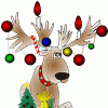 image004.gif