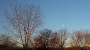 SUNRISE.JPG