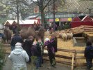 IMG_0819.JPG