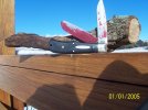 100_3253.JPG