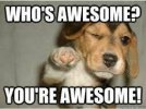 Awesome2.jpg