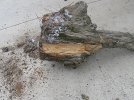1fatwood-003.jpg