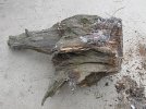 1fatwood-004.jpg