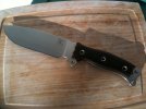 snake sfno 3.jpg