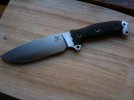 snake sfno 4.jpg