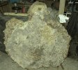 burl slab 002.jpg