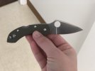 SpydercoBaby2.JPG