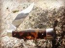 KaBar_Tortoise_01.jpg