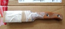 Busse6.jpg