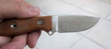 Busse8.jpg