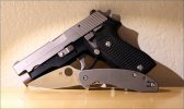 SigP225Mantra.jpg