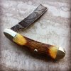 Bear_Son_Razor_01.jpg