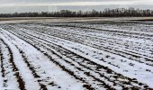 field-ground-snow-winter-autumn-landscape-plowed-black-furrows-late-autumn-62377137~2.jpg