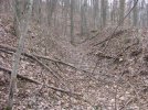 IMG_1840.jpg