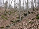 IMG_1849.jpg