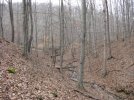 IMG_1850.jpg