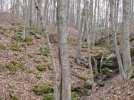 IMG_1851.jpg