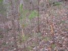 IMG_1855.jpg