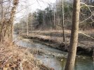 IMG_1861.jpg