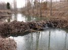 IMG_1866.jpg