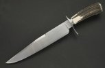 Stag Bowie2.jpg