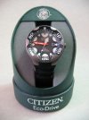 Citizen 002.jpg