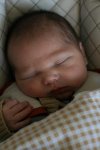 caelan 014.jpg