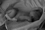 caelan 021.jpg