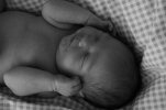 caelan 028.jpg