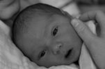 Caelan's wonderfull week of birth 253.jpg