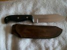 small bowie1.jpg
