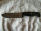small bowie3.jpg